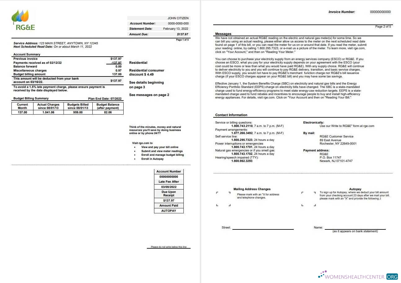 download download USA RG&E utility bill template in Word and PDF format (2 pages) 1 2 PDF template PDF template